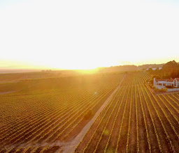 Wine Escapes Exclusive Wine Tours photo