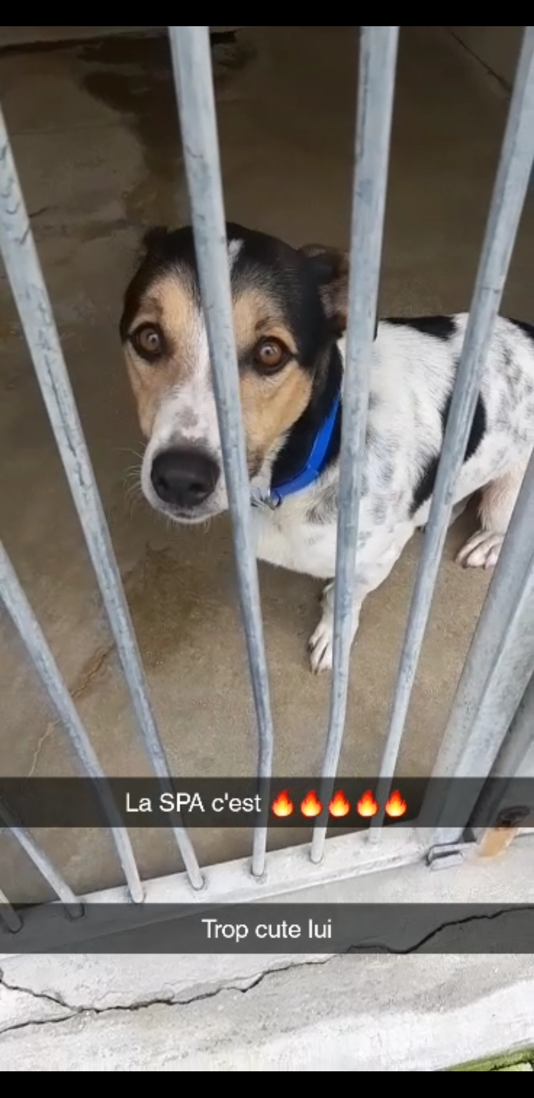 Photo n° 3 de l'avis de Bheverly. fait le 30/11/2019 à 15:05
