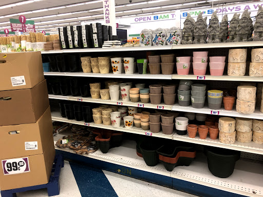 Discount Store «99 Cents Only Stores», reviews and photos, 15345 Whittier Blvd, Whittier, CA 90603, USA