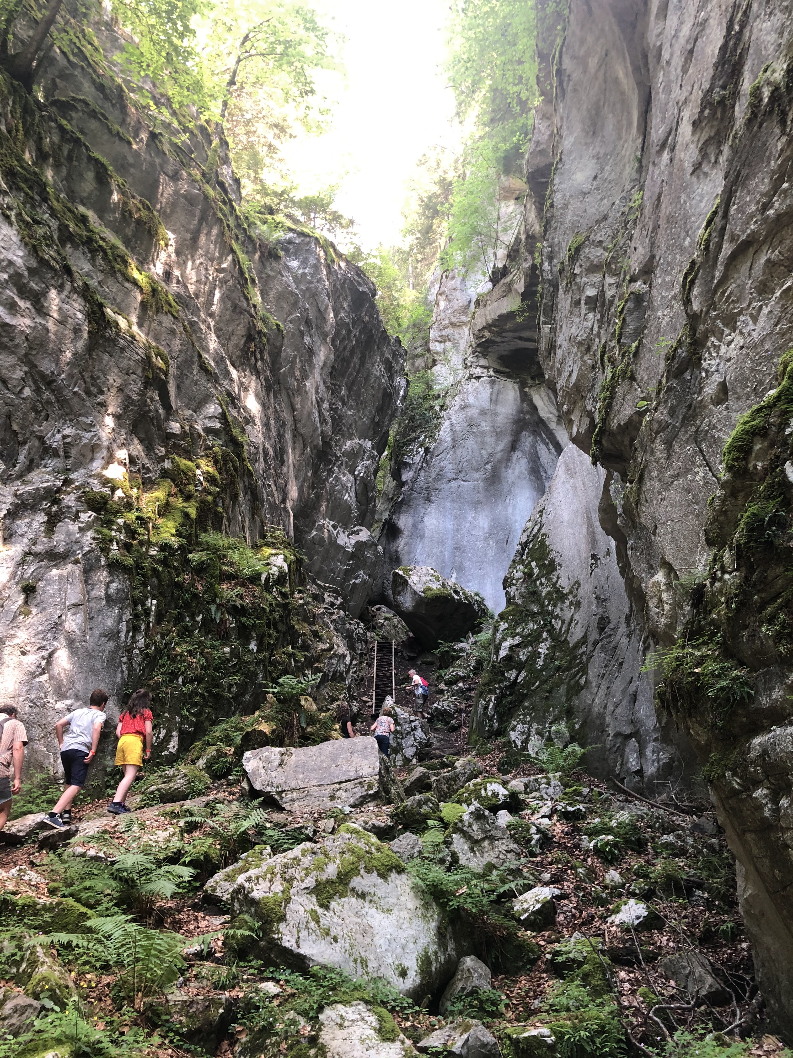 Photo n° 5 de l'avis de Florian.a fait le 14/07/2020 à 21:06