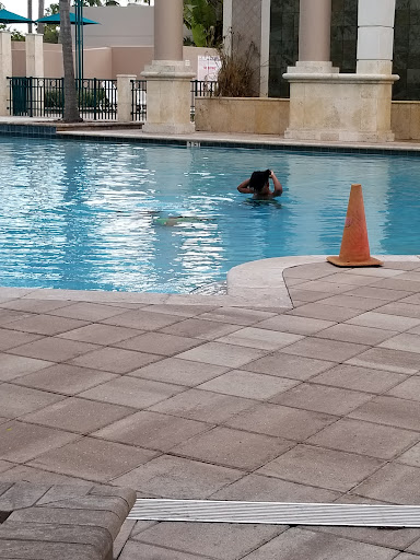 Performing Arts Theater «Sunrise Civic Center Theatre and Art Gallery», reviews and photos, 10610 W Oakland Park Blvd, Sunrise, FL 33351, USA