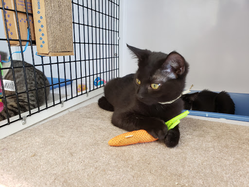 Pet Supply Store «Pet Supplies Plus», reviews and photos, 1258 Northlake Blvd, Lake Park, FL 33403, USA