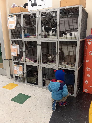 Pet Supply Store «Pet Supplies Plus», reviews and photos, 585 Moseley Rd, Fairport, NY 14450, USA