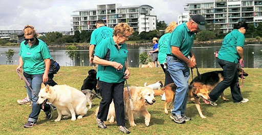 Sunshine Coast Dog Obedience Club