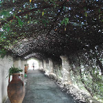 Photo n°5 de l'avis de Massimiliano.e fait le 19/10/2018 à 14:03 sur le  Capatosta à Montalbano