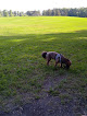Kings Park Off-leash dog park