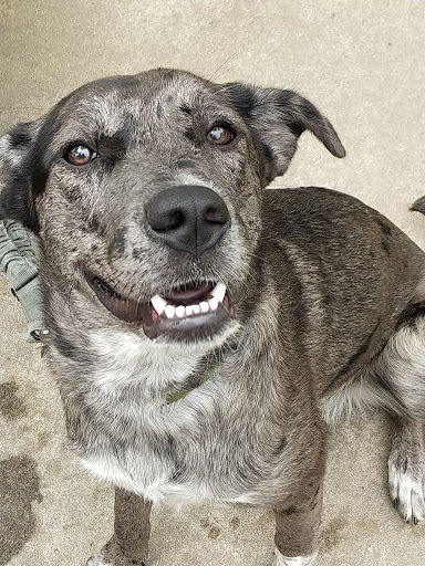 Zoo «Potawatomi Zoo», reviews and photos, 500 S Greenlawn Ave, South Bend, IN 46615, USA