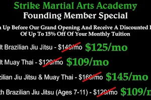 Strike Martial Arts Academy image