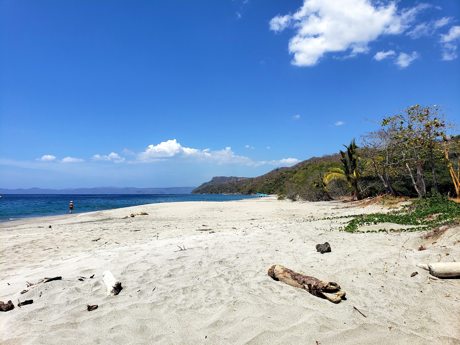 Cabuyal beach的照片 带有碧绿色水表面