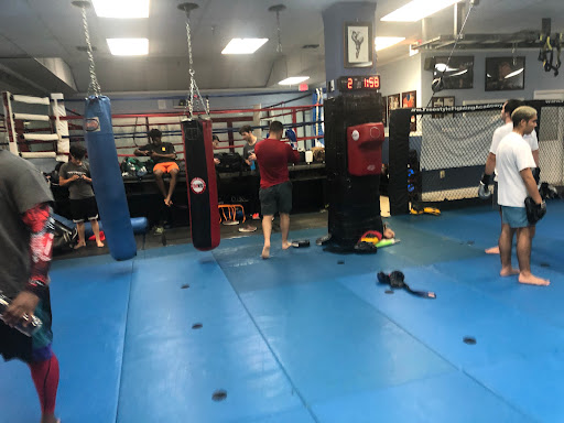 Martial Arts School «Freestyle Fighting Academy», reviews and photos, 1423 SW 107th Ave, Miami, FL 33174, USA