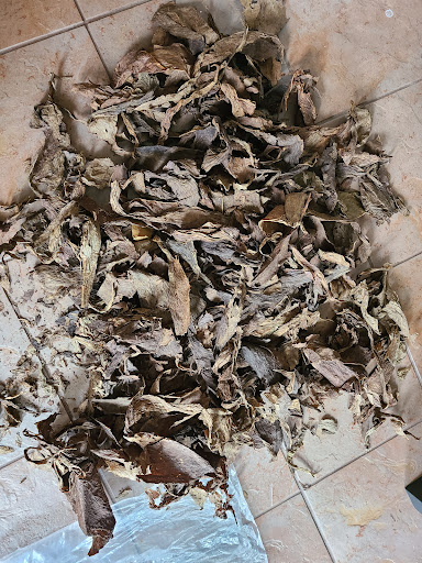 Tobacco Shop «Leaf Only», reviews and photos, 440 Middlefield St, Middletown, CT 06457, USA