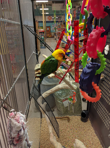 Pet Supply Store «PetSmart», reviews and photos, 3520 S El Camino Real, San Mateo, CA 94403, USA
