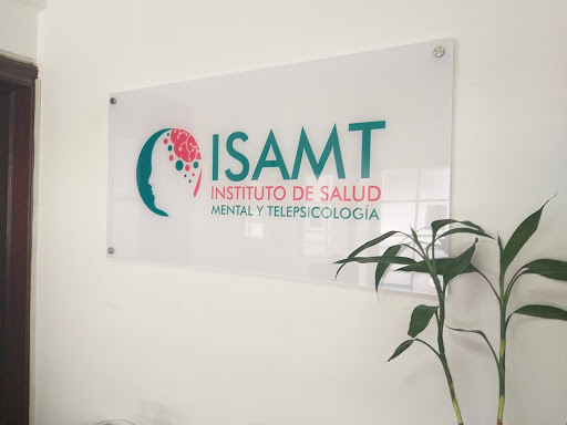 Instituto de Salud Mental y Telepsicología