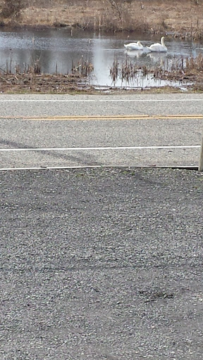 Wicker Store «Cape May Wicker», reviews and photos, 203 Sunset Blvd, West Cape May, NJ 08204, USA