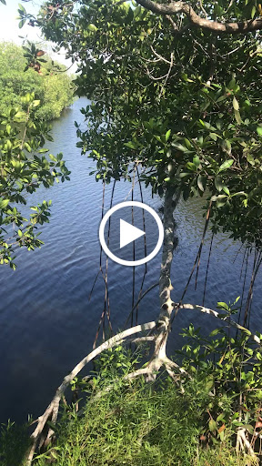 Visitor Center «Big Cypress Swamp Welcome Center», reviews and photos