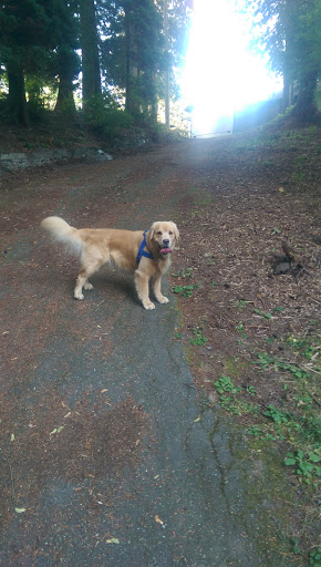 Water Park «Rotary Centennial Water Playground», reviews and photos, 802 E Mukilteo Blvd, Everett, WA 98203, USA