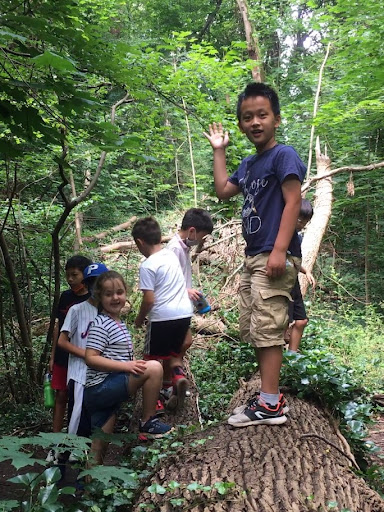 Learning Center «Science Museum of Long Island», reviews and photos, 1526 N Plandome Rd, Manhasset, NY 11030, USA