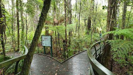 Kauri Walk, Puketi Forest