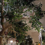 Photo n°4 de l'avis de Elisa.e fait le 02/01/2024 à 11:20 sur le  Ristorante Urbani à Turin