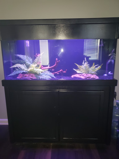 Tropical Fish Store «Southeast Aquariums», reviews and photos, 135 Stanley Ct #211, Lawrenceville, GA 30046, USA