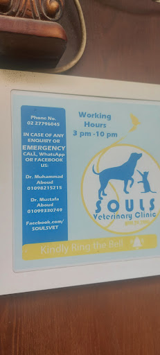 Souls Veterinary Clinic
