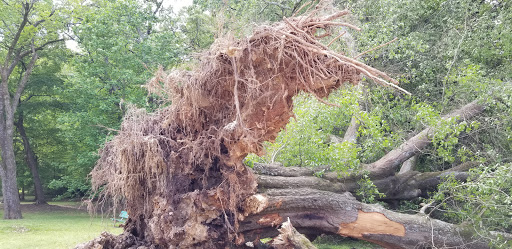 Park «Frankie Allen Park», reviews and photos, 100 Bagley St NE, Atlanta, GA 30305, USA