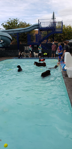 Sports Club «Lake Shore Athletic Club», reviews and photos, 2401 NW 94th St, Vancouver, WA 98665, USA