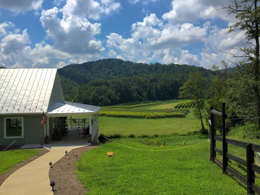 Winery «Loving Cup Vineyard & Winery», reviews and photos, 3340 Sutherland Rd, North Garden, VA 22959, USA