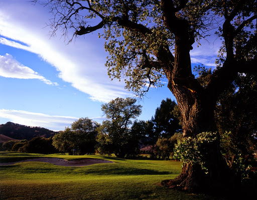 Golf Course «Paradise Valley Golf Course», reviews and photos, 3950 Paradise Valley Dr, Fairfield, CA 94533, USA