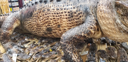 Gift Shop «Magic Castle Gift Kingdom», reviews and photos, 7646 W Irlo Bronson Memorial Hwy, Kissimmee, FL 34747, USA