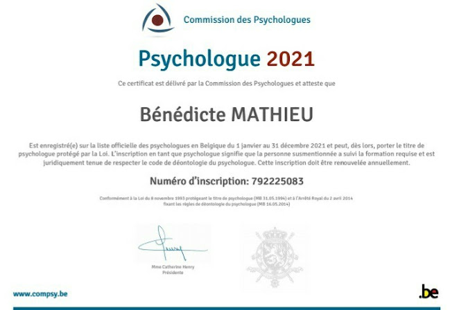 Reacties en beoordelingen van Bénédicte Mathieu psychologue, thérapie brève