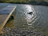 Leashes & Leads - Photo 5 - Car repair in Byron, MN, Rochester