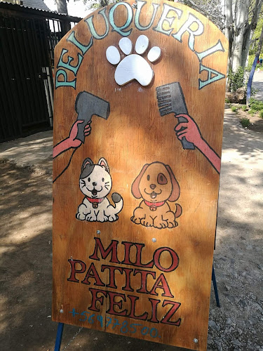Peluqueria De Mascotas Milo Patita Feliz - Recoleta