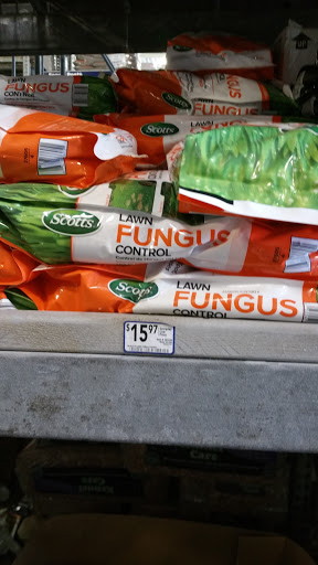 Discount Store «Big Lots», reviews and photos, 32 Malphrus Rd Suite 111, Bluffton, SC 29910, USA