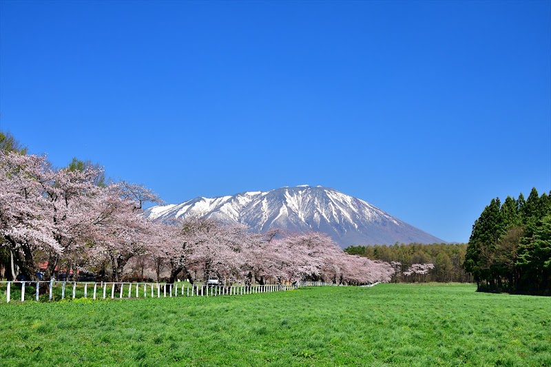 小岩井稲荷神社