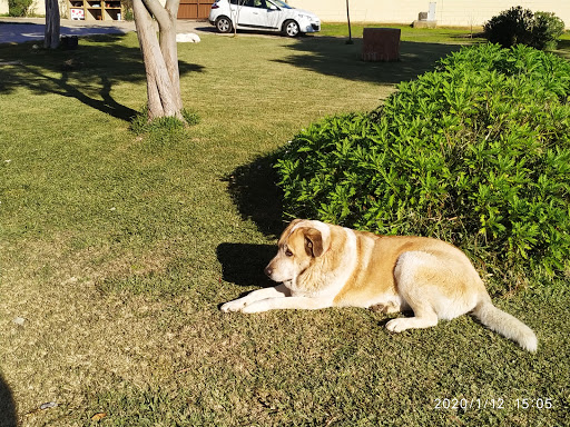 Arca de Noé Clínica Veterinaria en Mérida