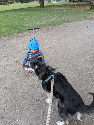 Pet Supply Store «Wally Pets», reviews and photos, 4411 Wallingford Ave N, Seattle, WA 98103, USA