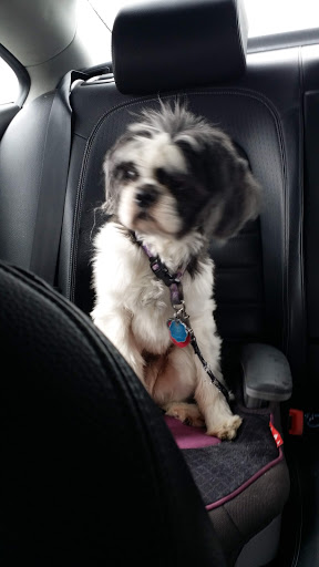 Shopping Mall «Merritt Park Shopping Center», reviews and photos, 1762 Merritt Blvd, Dundalk, MD 21222, USA