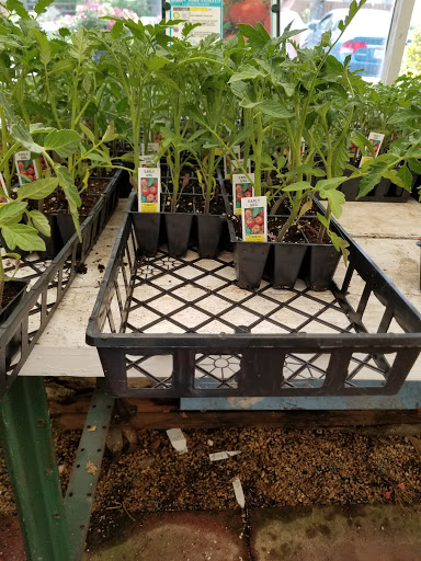 Florist «Lyndhurst Florist», reviews and photos, 5268 Mayfield Rd, Lyndhurst, OH 44124, USA