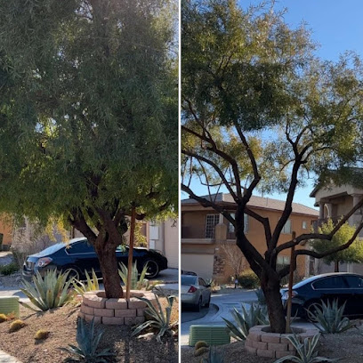 Las Vegas Tree & Landscaping