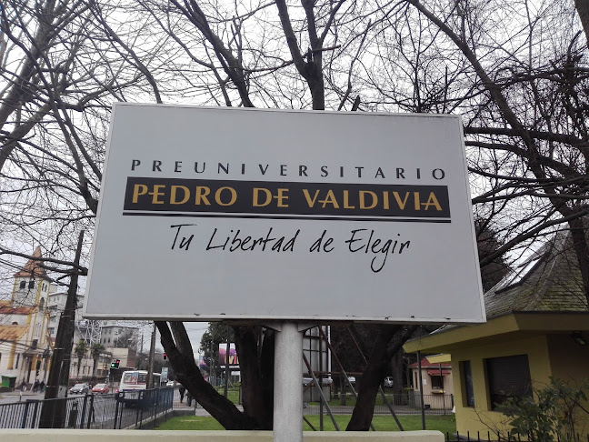 Opiniones de Preuniversitario Pedro de Valdivia en Temuco - Universidad