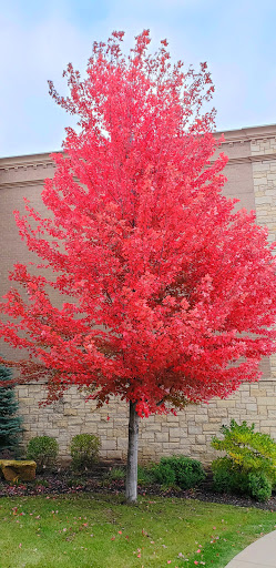 Gym «Life Time Fitness», reviews and photos, 18425 Dodd Blvd, Lakeville, MN 55044, USA