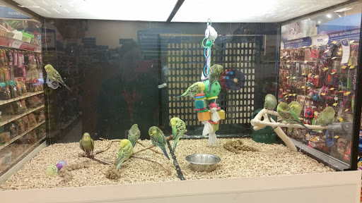 Pet Supply Store «PetSmart», reviews and photos, 6019 Wade Hampton Blvd, Taylors, SC 29687, USA