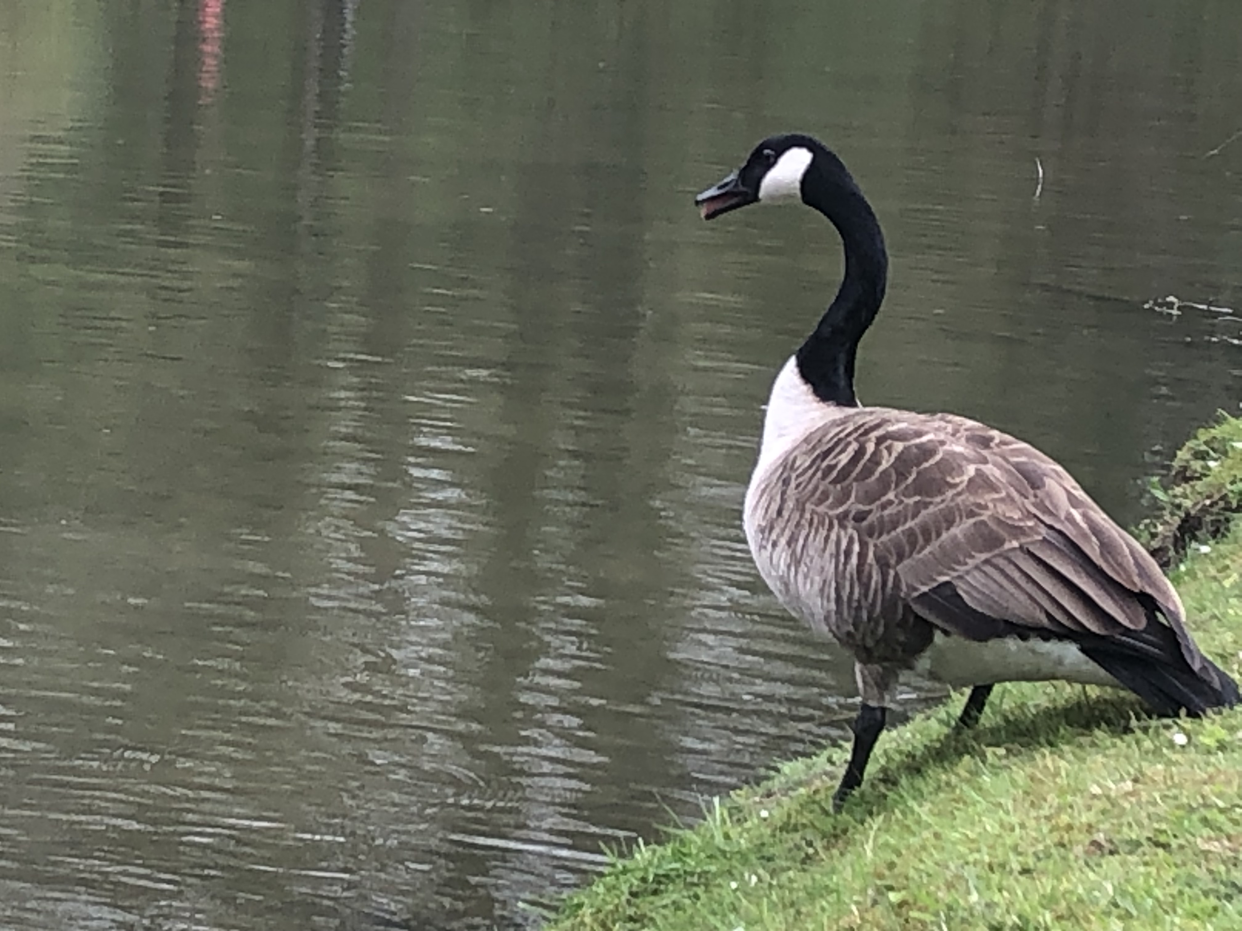 Photo n° 3 de l'avis de Manu. fait le 10/04/2023 à 09:11