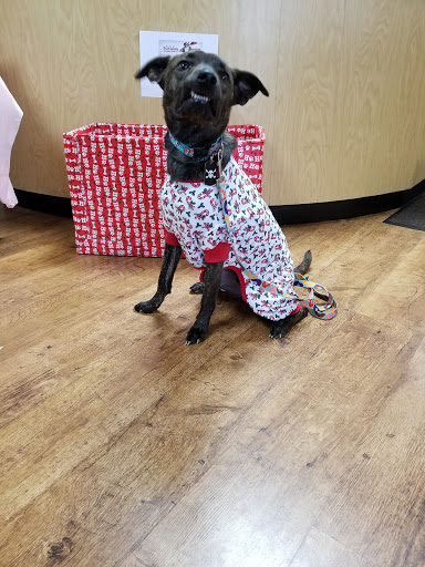 Pet Store «Hearty Pet Retail Store», reviews and photos, 19918 Jefferson Blvd, Hagerstown, MD 21740, USA