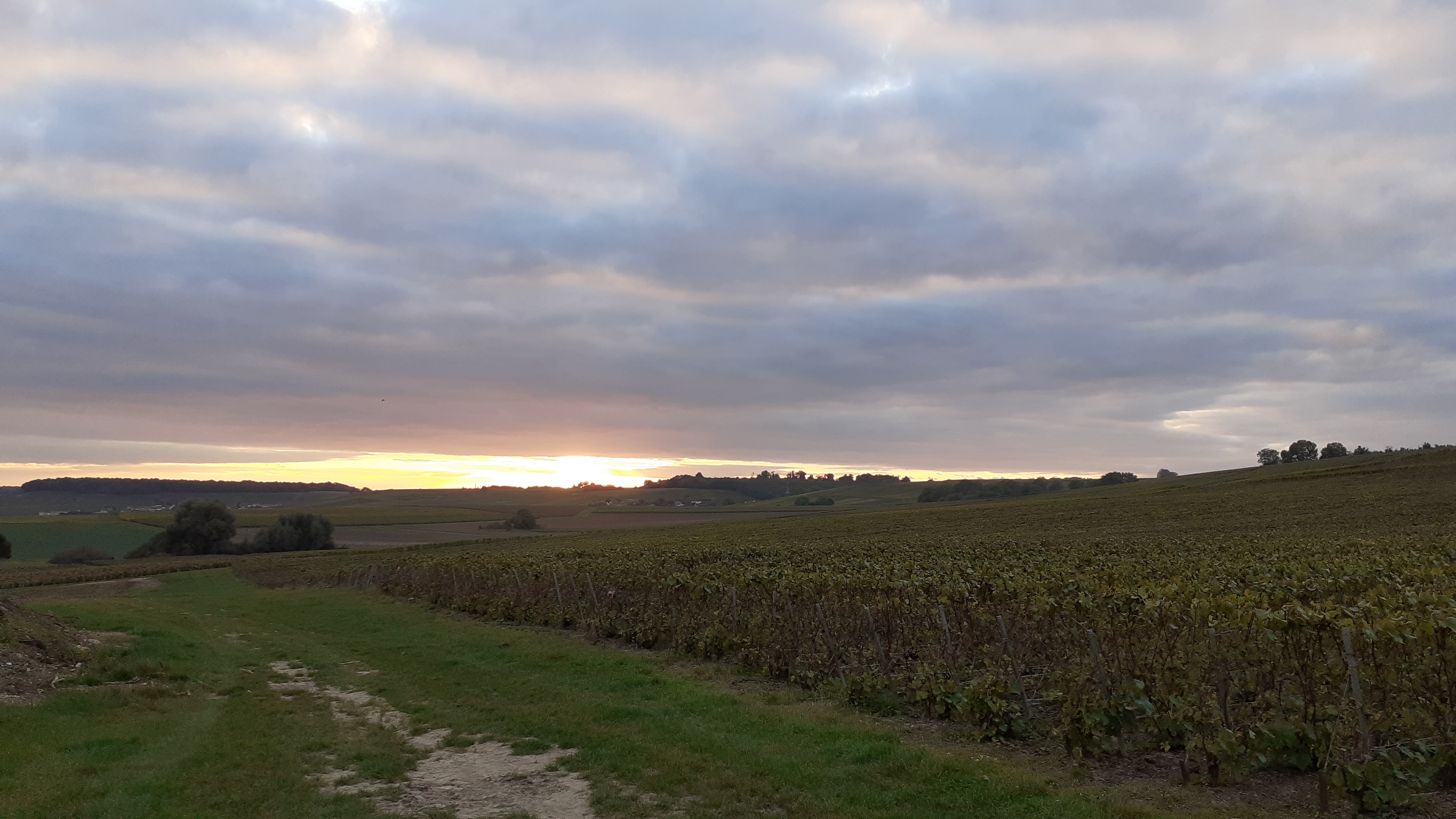 Photo n° 4 de l'avis de Jürgen.a fait le 13/10/2021 à 16:07