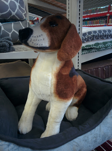 Pet Supply Store «Pet Food Express», reviews and photos, 1101 University Ave, Berkeley, CA 94702, USA