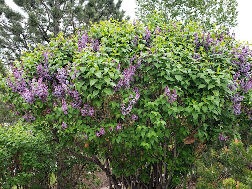 Golf Club «Omni Interlocken Golf Club», reviews and photos, 800 Eldorado Blvd, Broomfield, CO 80021, USA