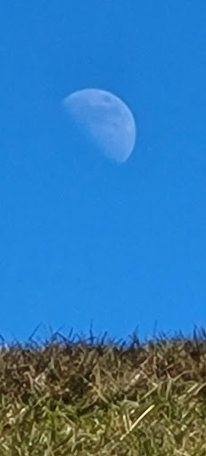 Memorial Park «Ox Hill Battlefield Park», reviews and photos, 4134 West Ox Rd, Fairfax, VA 22033, USA