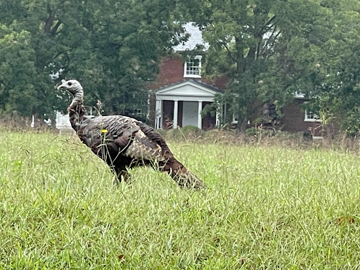 Real Estate Agency «Hank Cosby Real Estate», reviews and photos, 3812 Old Buckingham Road, Powhatan, VA 23139, USA